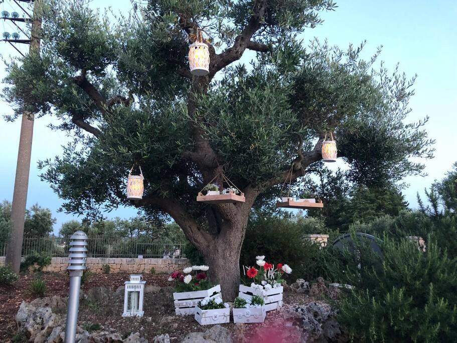Villa Catia Alberobello Exterior foto